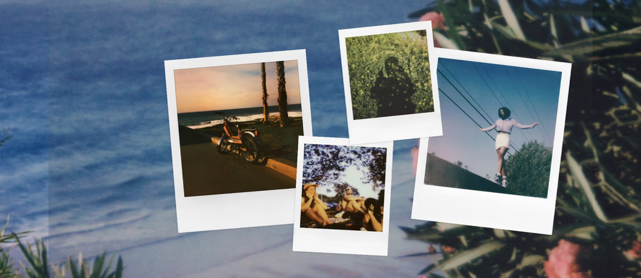 polaroid-2cc