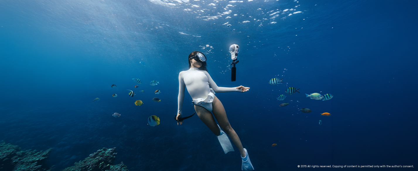 X6 Diving 22