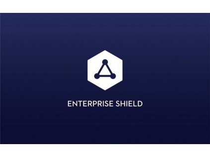 DJI Mavic 2 (DUAL) Enterprise Shield