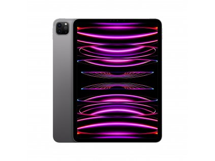 iPad Pro 11" Wi-Fi 128GB Kozmický sivý (2022)