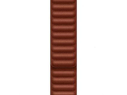 Apple Watch 45mm Umber Leather Link - S/M