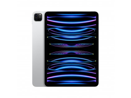 iPad Pro 11" Wi-Fi + Cellular 512GB Strieborný (2022)