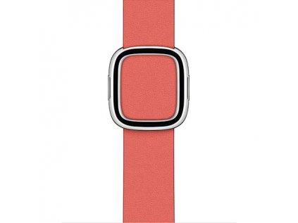 Apple Watch 40mm Pink Citrus Modern Buckle - Small