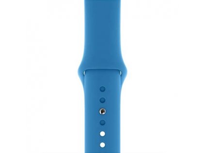 Apple Watch 40mm Surf Blue Sport Band - Regular