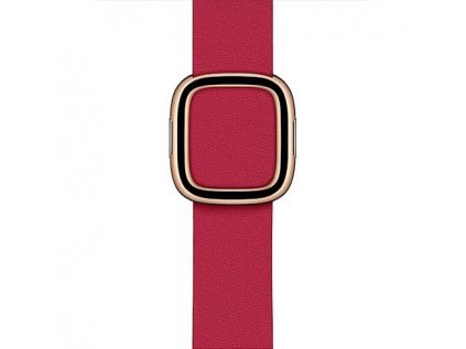 Apple Watch 40mm Raspberry Modern Buckle - Medium