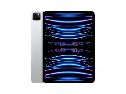 iPad Pro 11" Wi-Fi + Cellular 1TB Strieborný (2022)