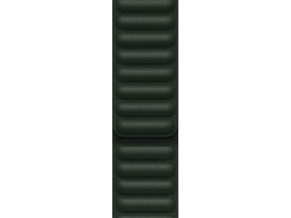 Apple Watch 41mm Sequoia Green Leather Link - M/L