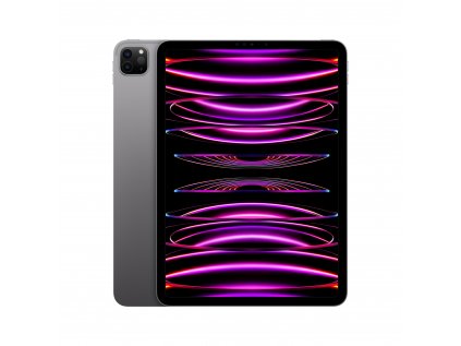 iPad Pro 11" Wi-Fi + Cellular 128GB Kozmický sivý (2022)