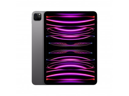 iPad Pro 11" Wi-Fi + Cellular 512GB Kozmický sivý (2022)