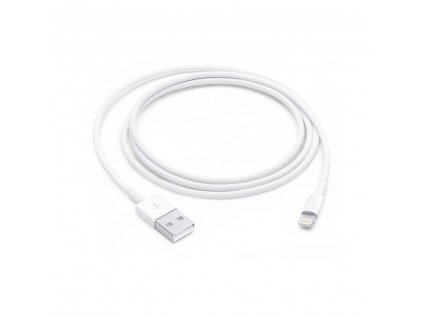 Apple Lightning to USB Cable (1m)