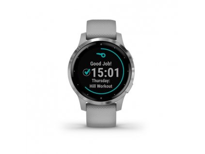 GARMIN Vivoactive 4S Powder Gray/Silver