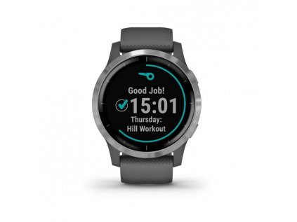 GARMIN Vivoactive 4 Shadow Gray/Silver