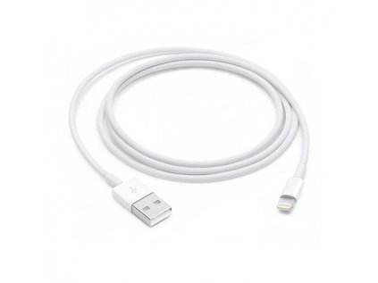Apple Lightning to USB Cable (1m)