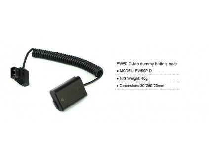 LanParte FW50P-D