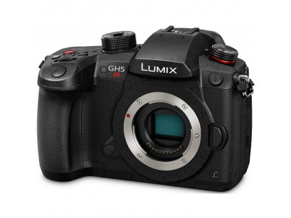 Panasonic LUMIX DC-GH5S (telo)