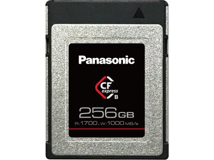 Panasonic CFexpress 256 GB CFEX256