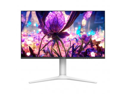 Monitor Koorui GN10 27" 2560x1440px 240Hz