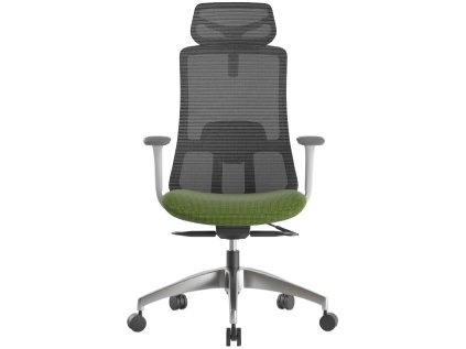 Kancelárska stolička WISDOM, šedý plast, zelená