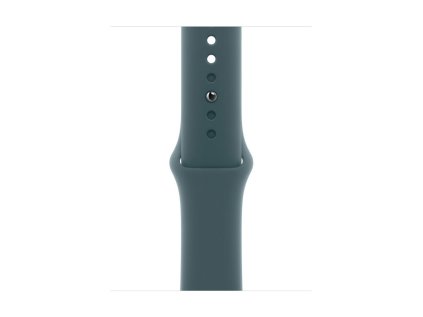 Apple Watch 42mm Lake Green Sport Band - S/M