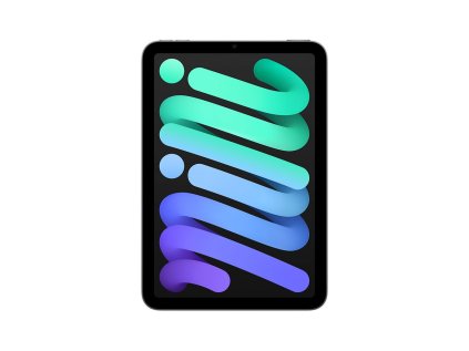 iPad mini Wi-Fi + Cellular 256GB Kozmický sivý (2024)