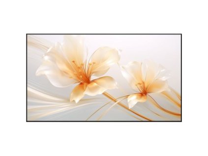 XGIMI 100" UST ALR Screen