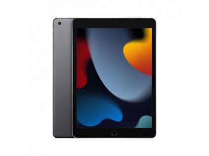 ipad wi fi 256gb space gray 2021 ie5163867