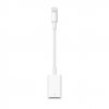 Apple Lightning to USB Adapter