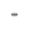 Apple USB-C to Lightning Adapter