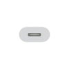 Apple USB-C to Lightning Adapter
