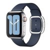 Apple Watch 40mm Raspberry Modern Buckle - Small