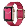 Apple Watch 40mm Raspberry Modern Buckle - Small