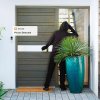 Netatmo Smart Video Doorbell