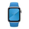 Apple Watch 40mm Surf Blue Sport Band - Regular