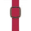 Apple Watch 40mm Raspberry Modern Buckle - Medium