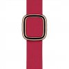 Apple Watch 40mm Raspberry Modern Buckle - Medium