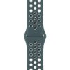 Apple Watch 40mm Hasta/Light Silver Nike Sport Band - Regular