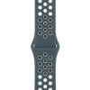 Apple Watch 40mm Hasta/Light Silver Nike Sport Band - Regular