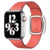 Apple Watch 40mm Pink Citrus Modern Buckle - Medium