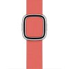 Apple Watch 40mm Pink Citrus Modern Buckle - Medium