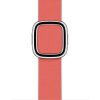 Apple Watch 40mm Pink Citrus Modern Buckle - Medium