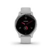 GARMIN VENU 2 Silver/Mist Gray