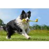 Insta360 GO3 Fetch Stick
