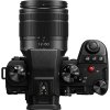 Panasonic LUMIX G9M2M (G9M2 + FS12060)