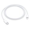 Apple USB-C to Lightning Cable (1 m)