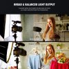 Neewer SF85Q, osemhranný softbox 85x52cm, bajonet Bowens