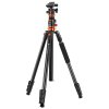 K&F Concept T254A7 tripod with BH-28L ball head