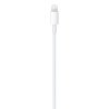 Apple USB-C to Lightning Cable (2 m)