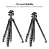 K&F Concept M1 tripod with BH-36L ball head