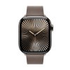 Apple Watch 42mm Dark Taupe Modern Buckle - Large