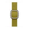 Apple Watch 42mm Chartreuse Modern Buckle - Small